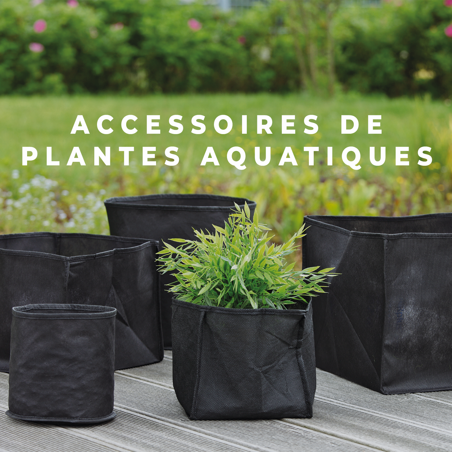 Accessoires de plantes aquatiques pour bassin de jardin 